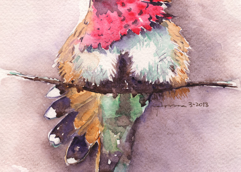 Wine Throated Hummingbird Art | Claudia Hafner Watercolor