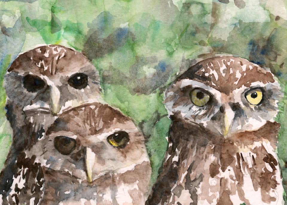 Burronwing Owls Art | Claudia Hafner Watercolor