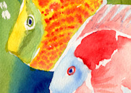School's Out Tropical Fishies Art | Jeanine Colini Design Art