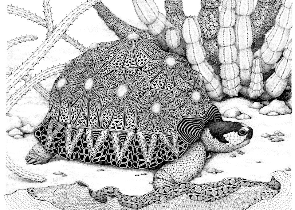 Desert Wanderer (Tortoise) Art | Kristin Moger "Seriously Fun Art"