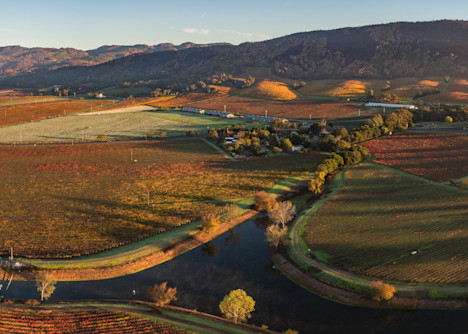 Colorful Sonoma Valley vineyard view