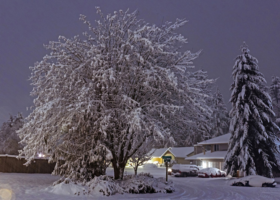 Nighttime Snowfall Photography Art | johnnelson