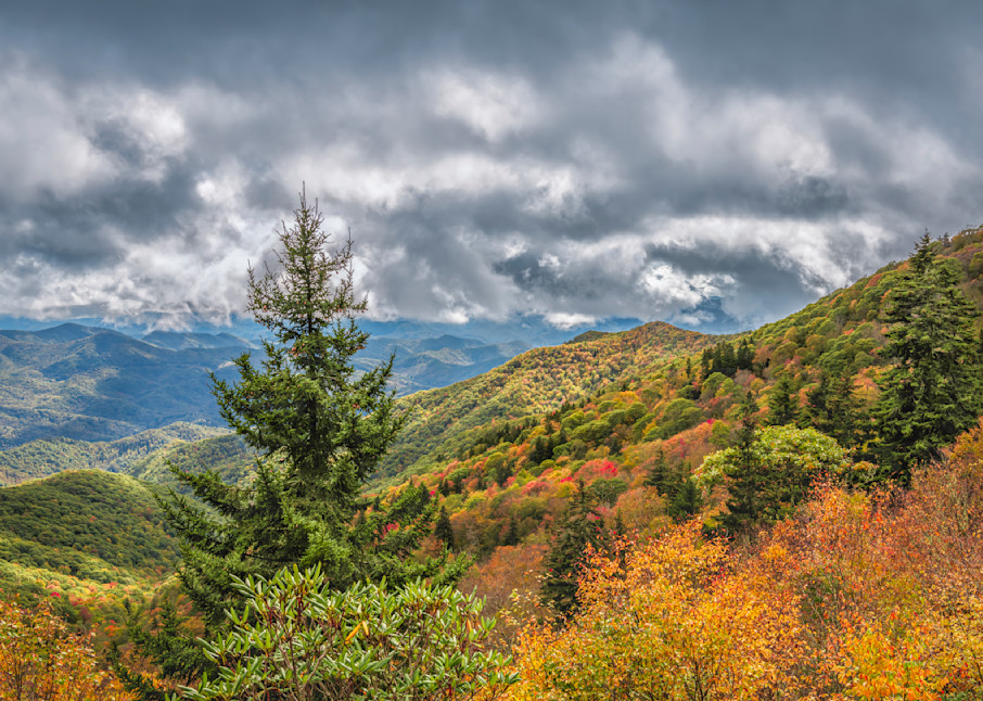 Appalachian Autumn Art | Rhonda Kingen Photography