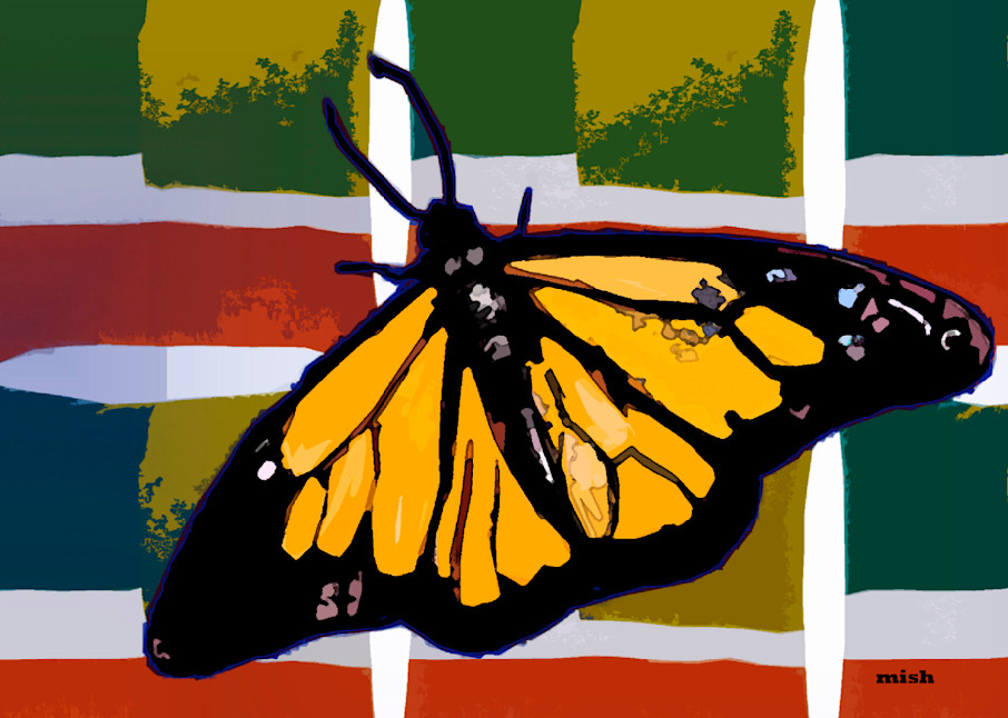 Butterfly In Autumn Colors Art | Mish Murphy Fine Art