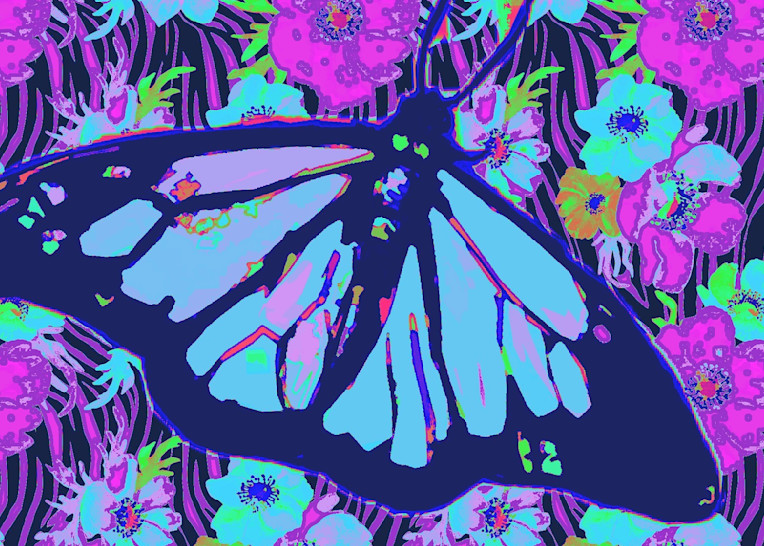 Butterfly In Blue Art | Mish Murphy Fine Art