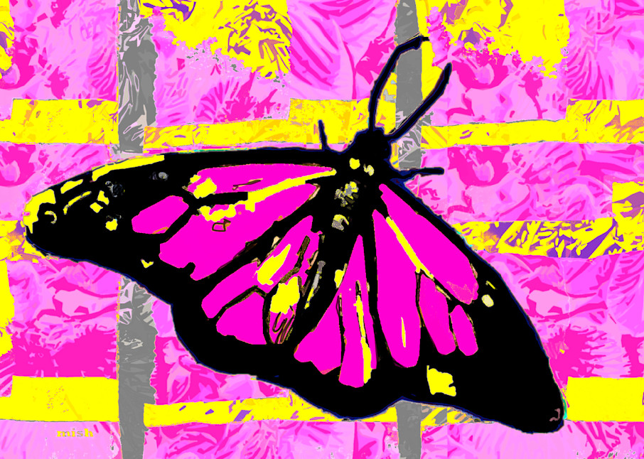 Butterfly In Rose Art | Mish Murphy Fine Art