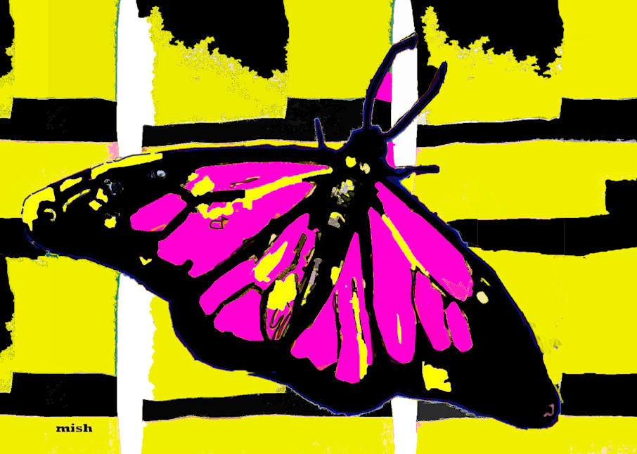 Butterfly In Pink And Yellow Art | Mish Murphy Fine Art