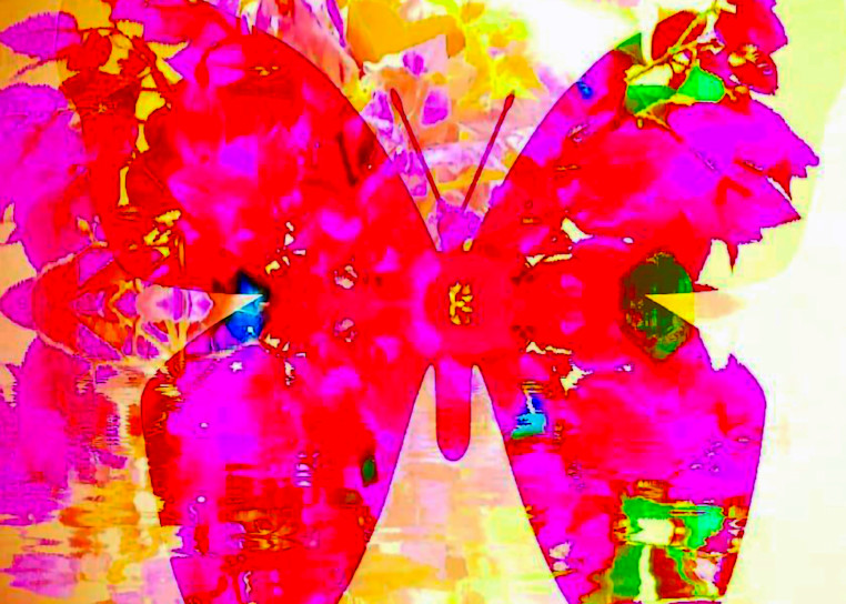 Elusive Butterfly Art | Mish Murphy Fine Art