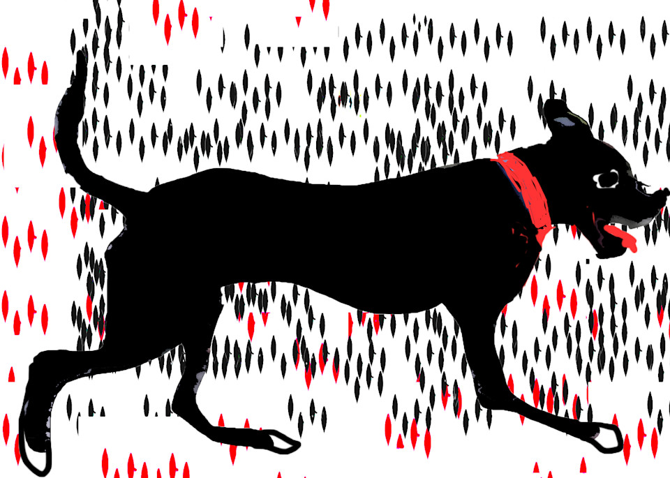 Running Dog Art | Mish Murphy Fine Art