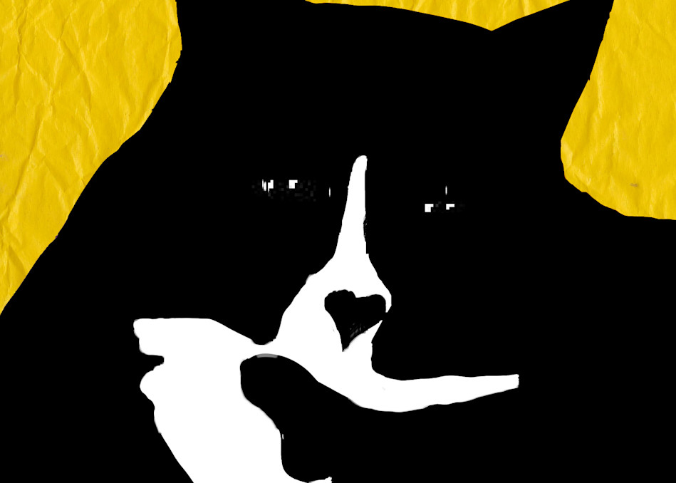 Cool Cat Yellow Paper Art | Mish Murphy Fine Art