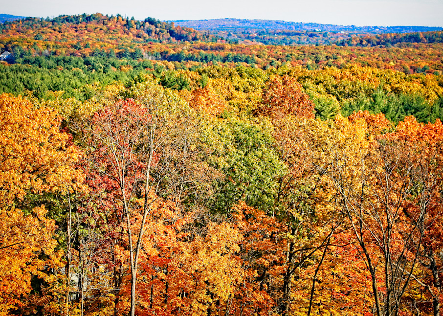 Distant Fall Colors Photography Art | Fred Pais Photography