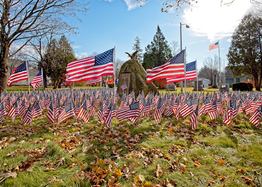 Field Of Flags Photography Art | Fred Pais Photography