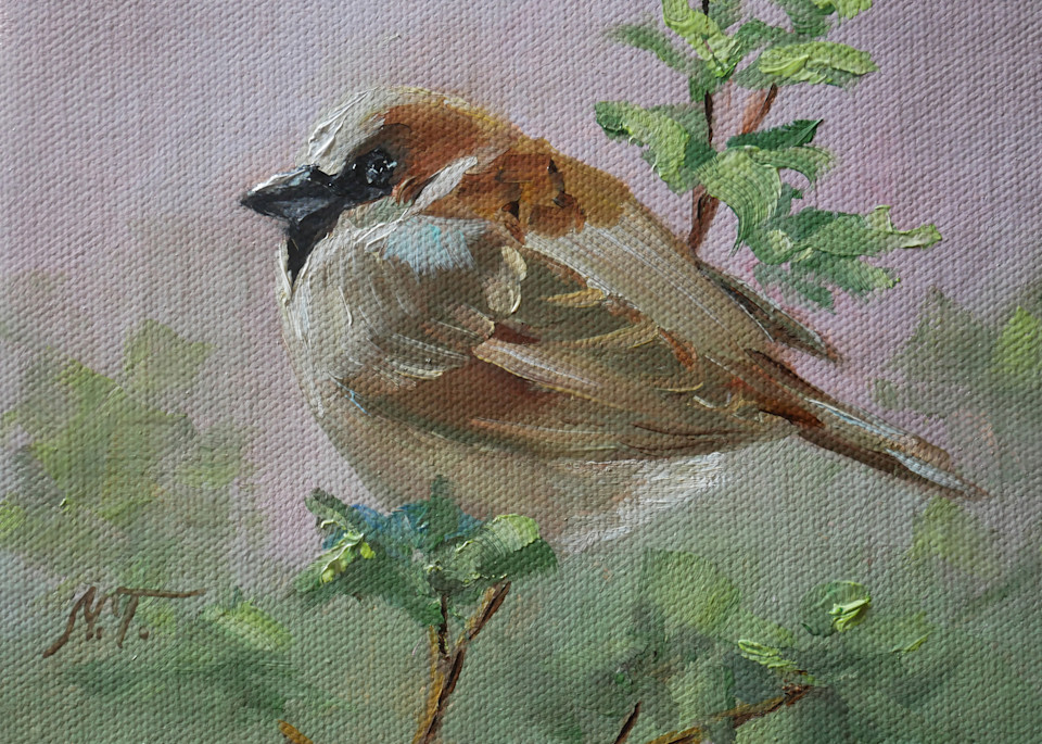 Sparrow Art | Mariya Tumanova ART