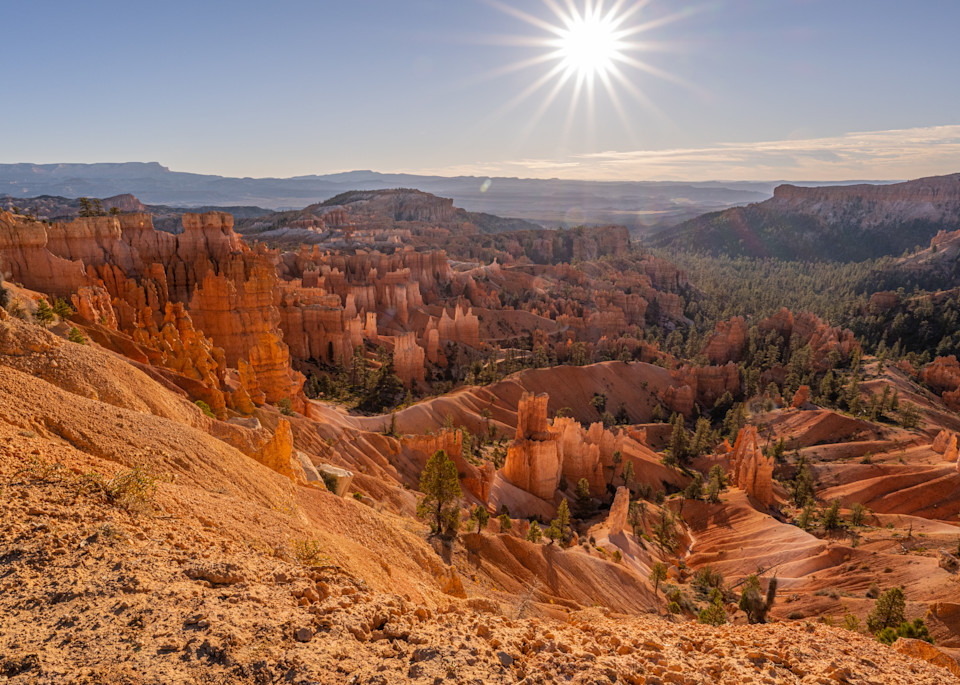 Sunny Morning, Bryce Canyon Photography Art | Kim Bova Photography