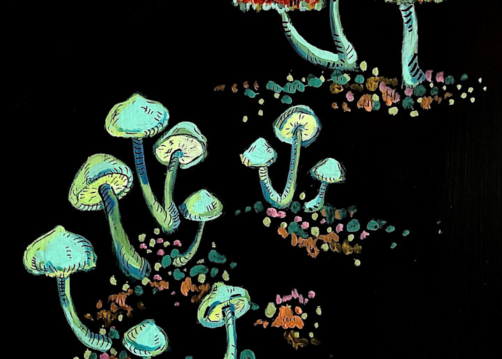 Orange And Green Mushroom Clusters Art | jasonhancock