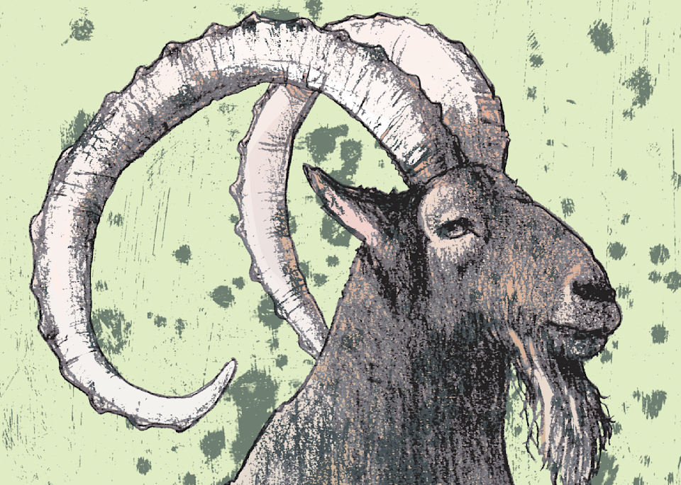 Art Prints of Wildlife