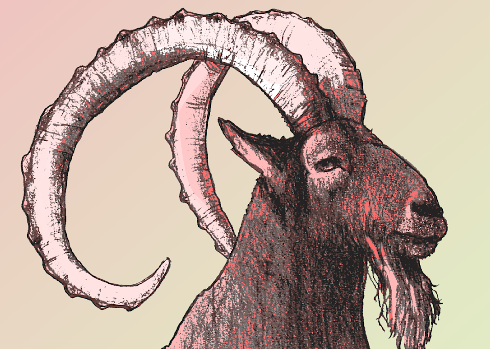 Art Prints of Wildlife
