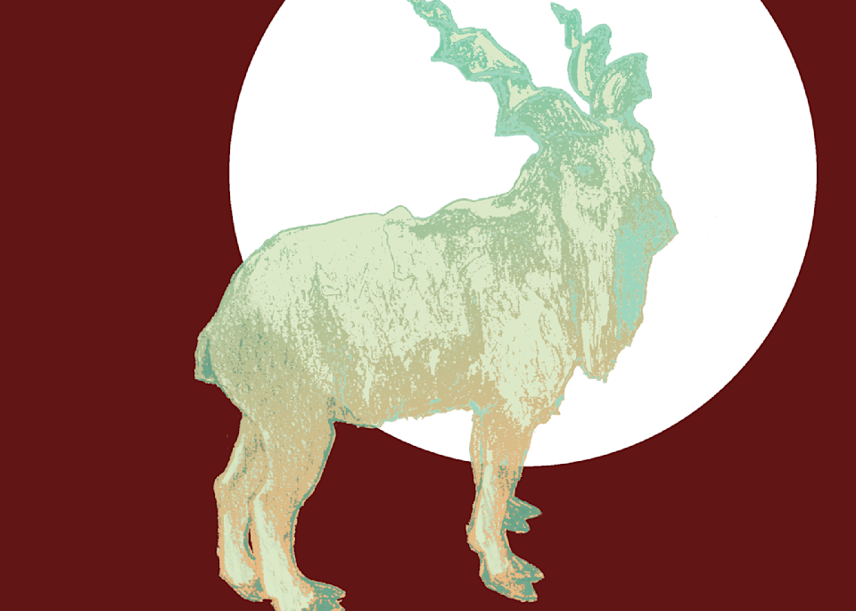 Art Prints of Wildlife