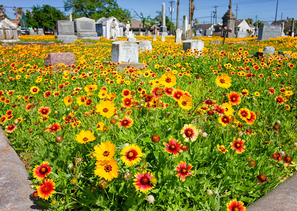 Galveston Broadway Cemetery Photography Art | Julie Chapa Photography