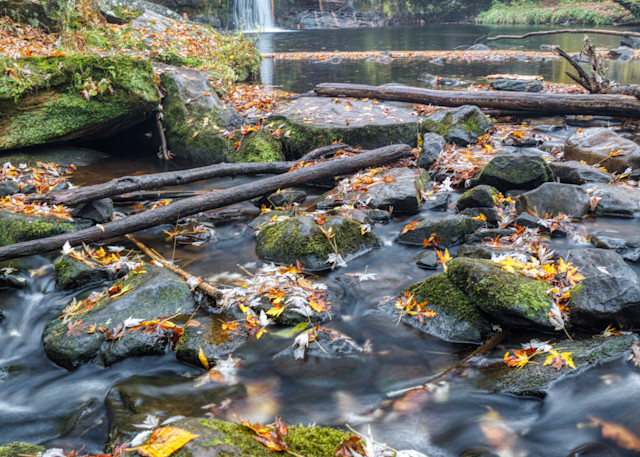 Wolf Creek In Autumn Photography Art | Striped Moon Studios