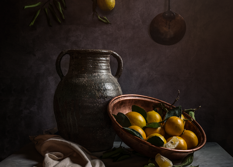 Early Winter Lemons Photography Art | The Elliott Homestead, Inc.