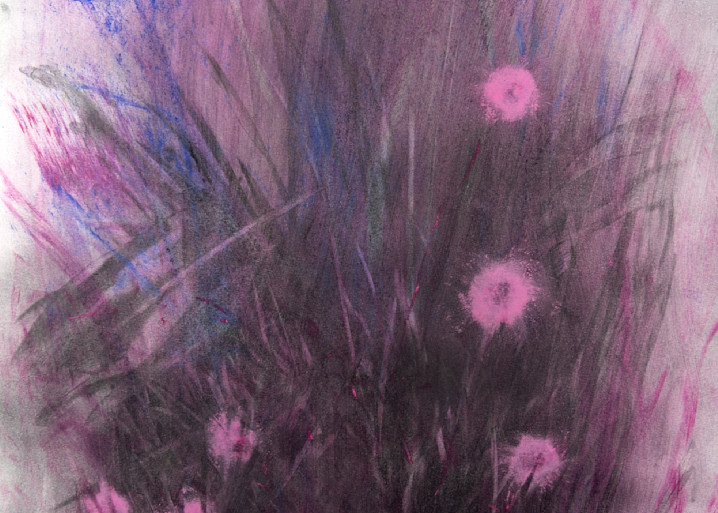 Wildflowers (Poppies Pink) - Fine Art Print by Jose Luis Telot