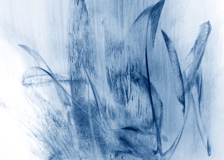 Untitled (Silver Sky Blue Butterflies) - Fine Art Print by Jose Luis Telot