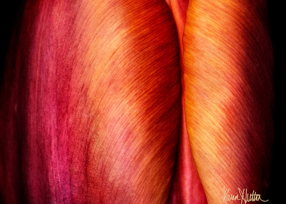 Tulipianne Tote Art | Karen Hutton Fine Art