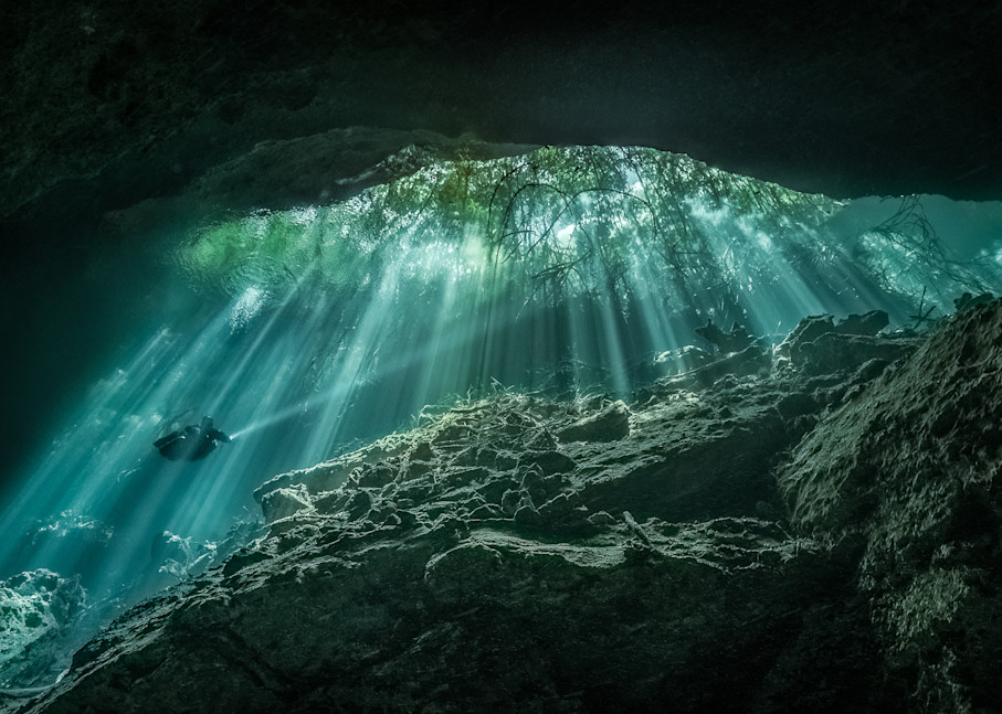 Cenote Coral Photography Art | Be Water Imaging