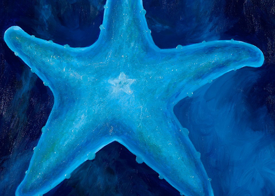 Sea Star Art | Elizabeth Cleary