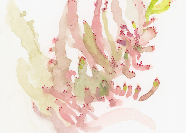 Cactus Pink And Green Final Art | Megan McManus Art