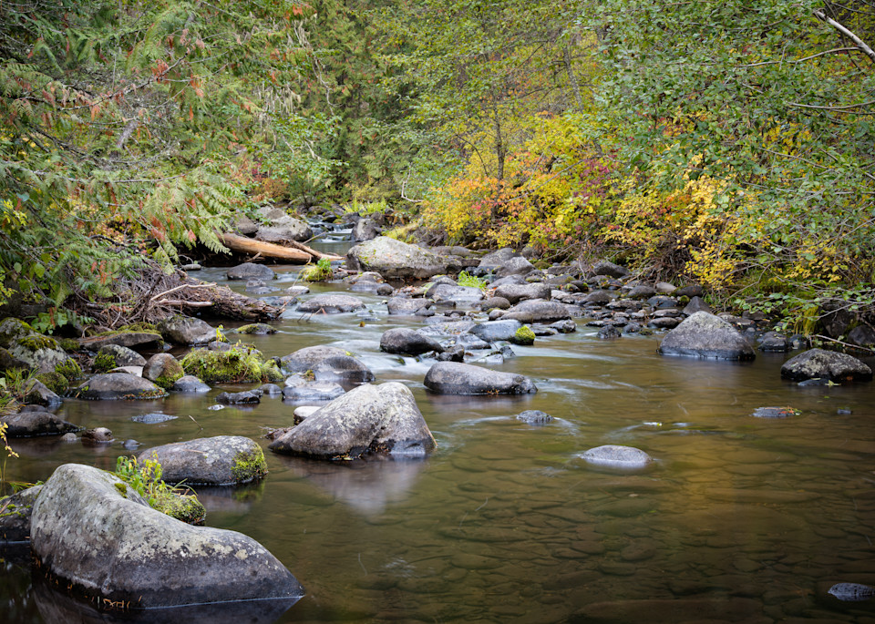 Autumn Along Badger Creek, Mt Hood National Forest, Oregon, 2022
