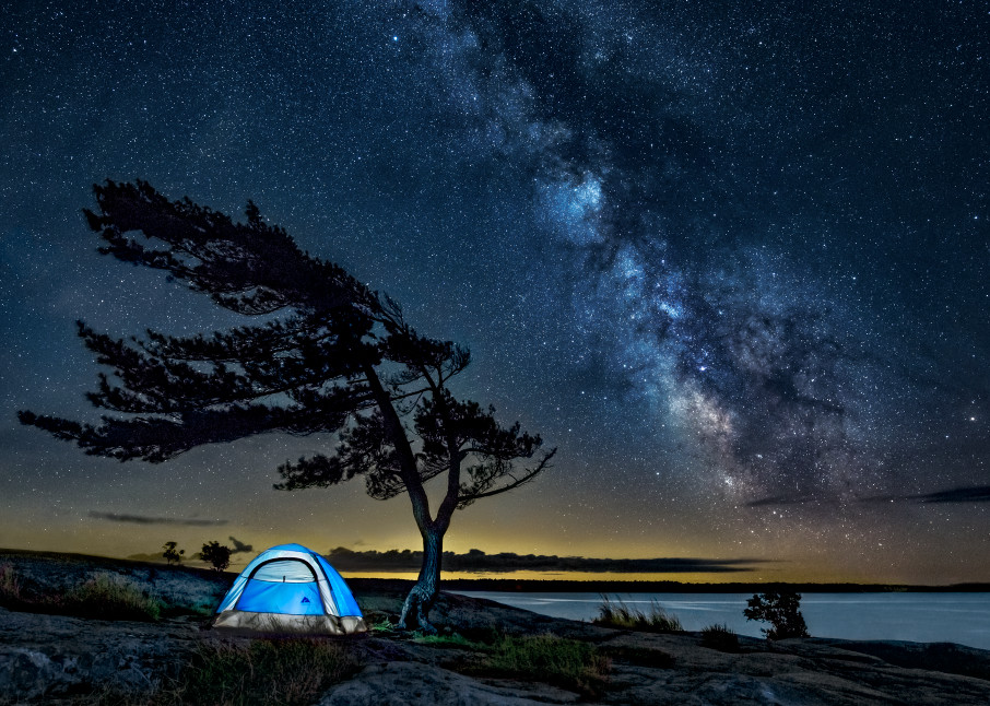 Camping Under The Windswept Pine Art | Trevor Pottelberg Photography