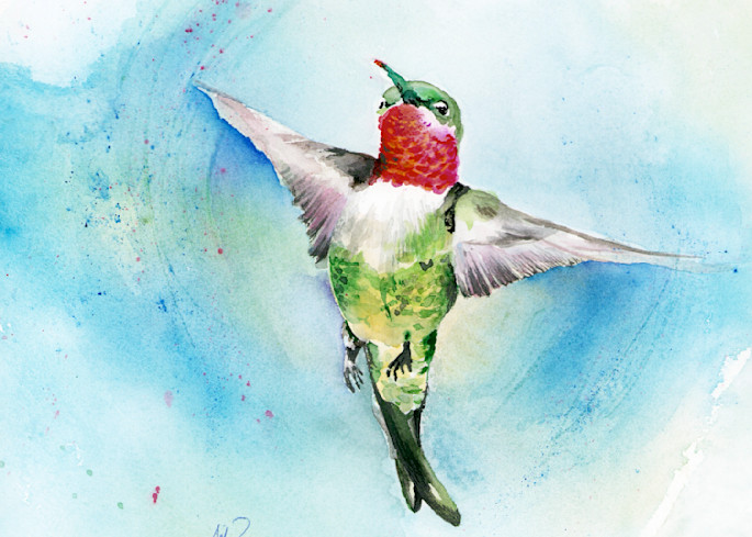 Hummingbird 1 Art | Jill Evans art + design