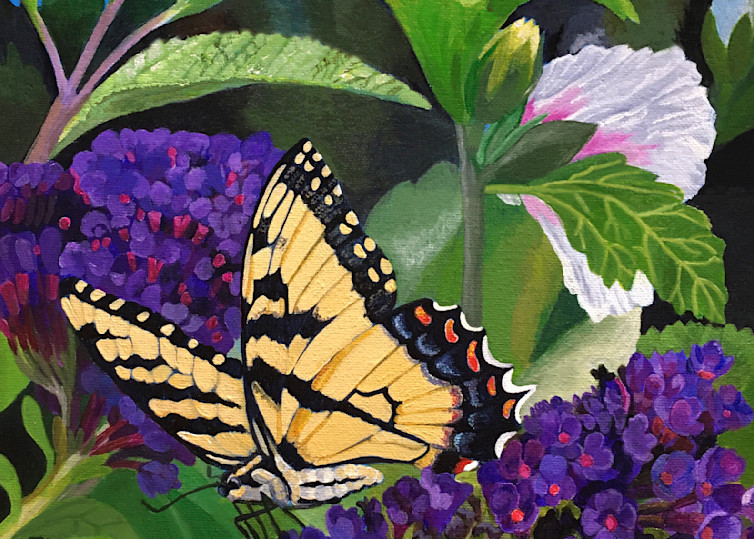 Tiger Swallowtail in a Butterfly Bush
