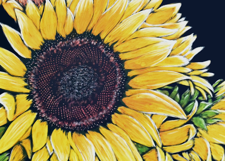 Flowers Sunflower Art | janetfunk