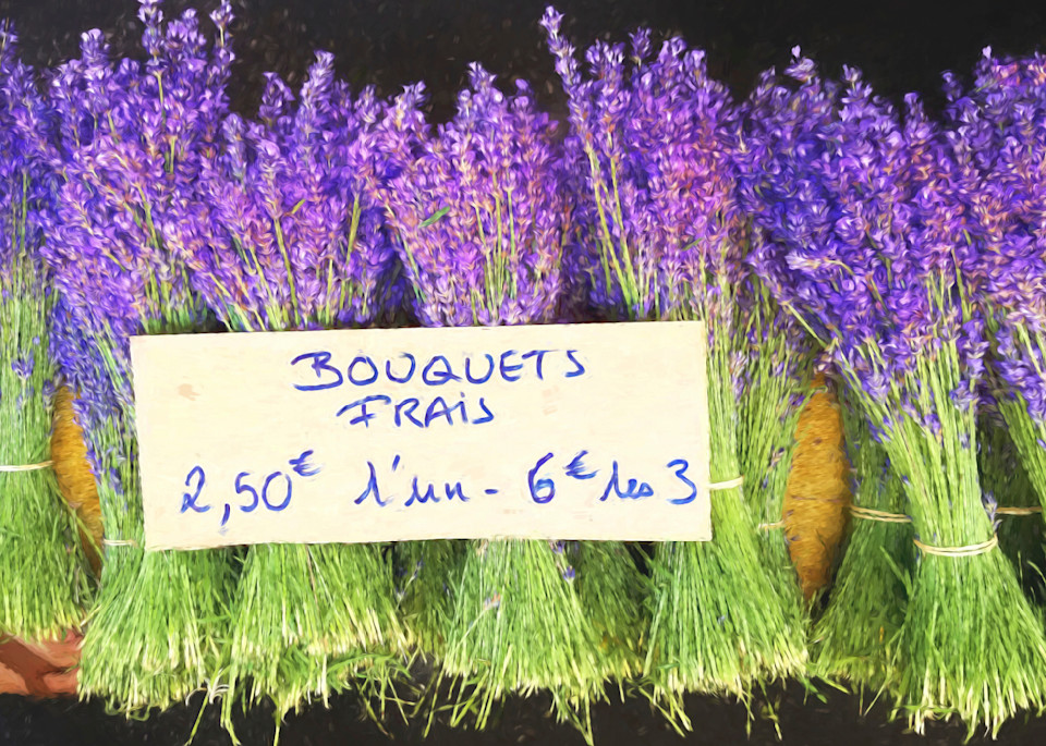 Fresh Lavender Photography Art | Francois De Melogue