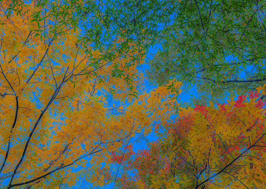 Autumn Colors Photography Art | John's Photos