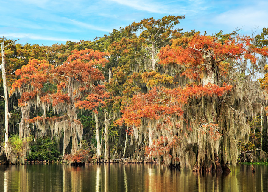 Autumn on Palourde — Louisiana swamp fine-art photography prints