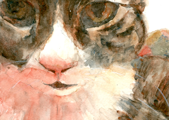 Tabby Cat Watercolor Print | Claudia Hafner Watercolor
