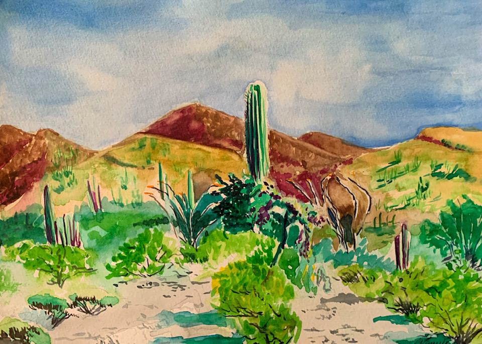 Arizona.Landscape Art | V Creative Studio
