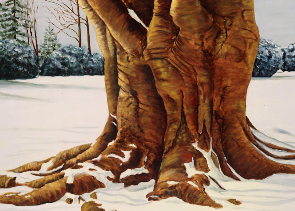 Copper Beech Tree Art | Christopher Evan Taylor Art