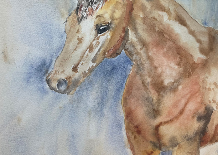 Buckskin Art | Color Splash Ranch