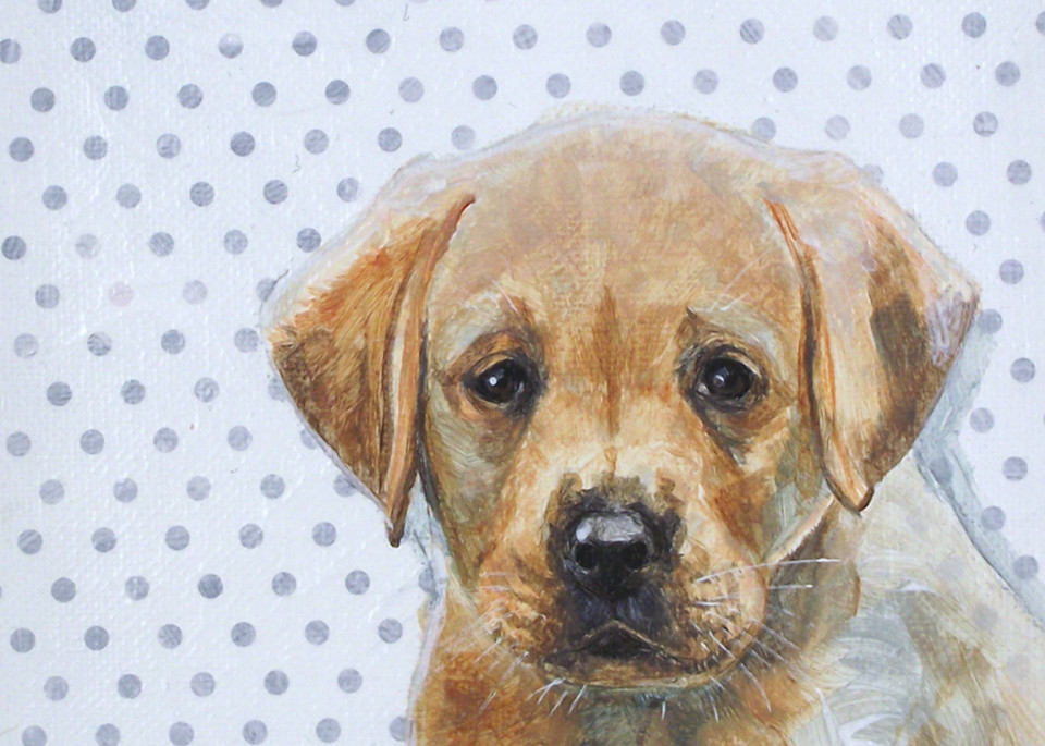 Yellow Lab Pup On Dots Art | Parnell Studios
