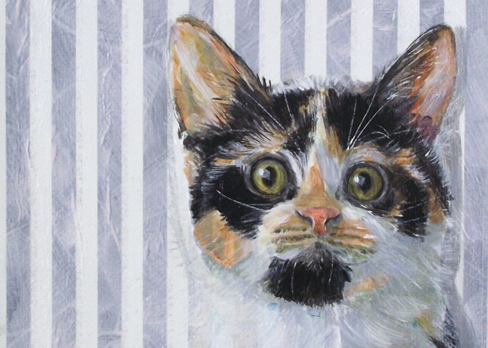 Kitten On Stripes Art | Parnell Studios