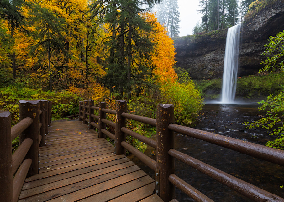 Salt Creek Falls In The Fall Photography Art | Vldn Taylor Photography