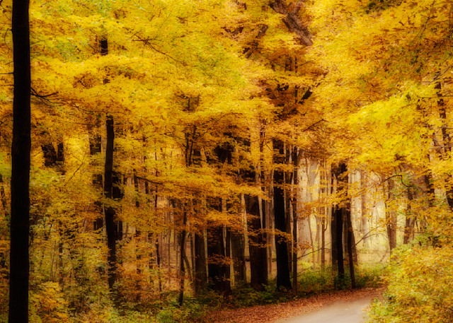 Signs Of Autumn   Around The Bend Photography Art | 3rdEye Photographic