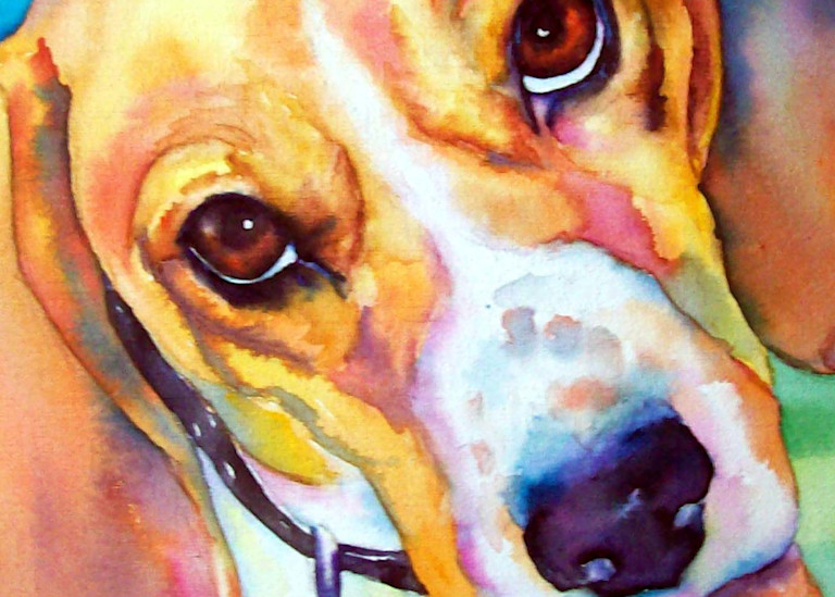 Beagle Dog Fine Art Watercolor Artwork
