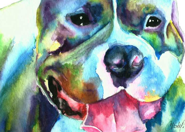 Silver Staffordshire Bull Terrier Watercolor Painting Pet Portrait