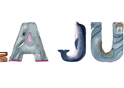 Isla June 20 X6 Ato Zoo Art | Jeanine Colini Design Art